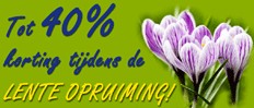 Naar onze opruiming!