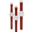 Arne Jacobsen Horlogeband voor Bankers, City Hall, Roman & Station Watch - Earth