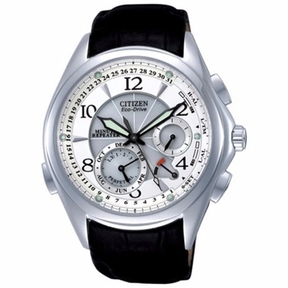 Citizen Eco-drive BL9000-32A Horlogeband 21mm